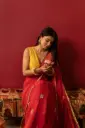 Shree Saree