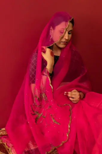 Mohini Saree