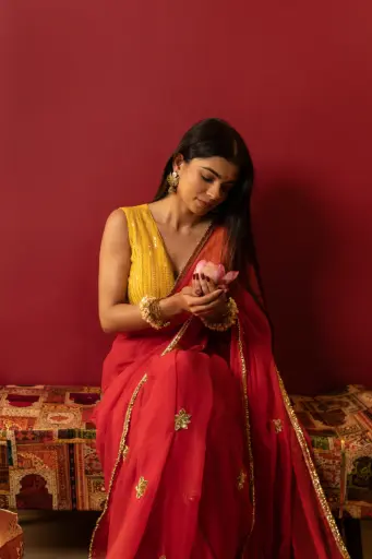 Shree Saree